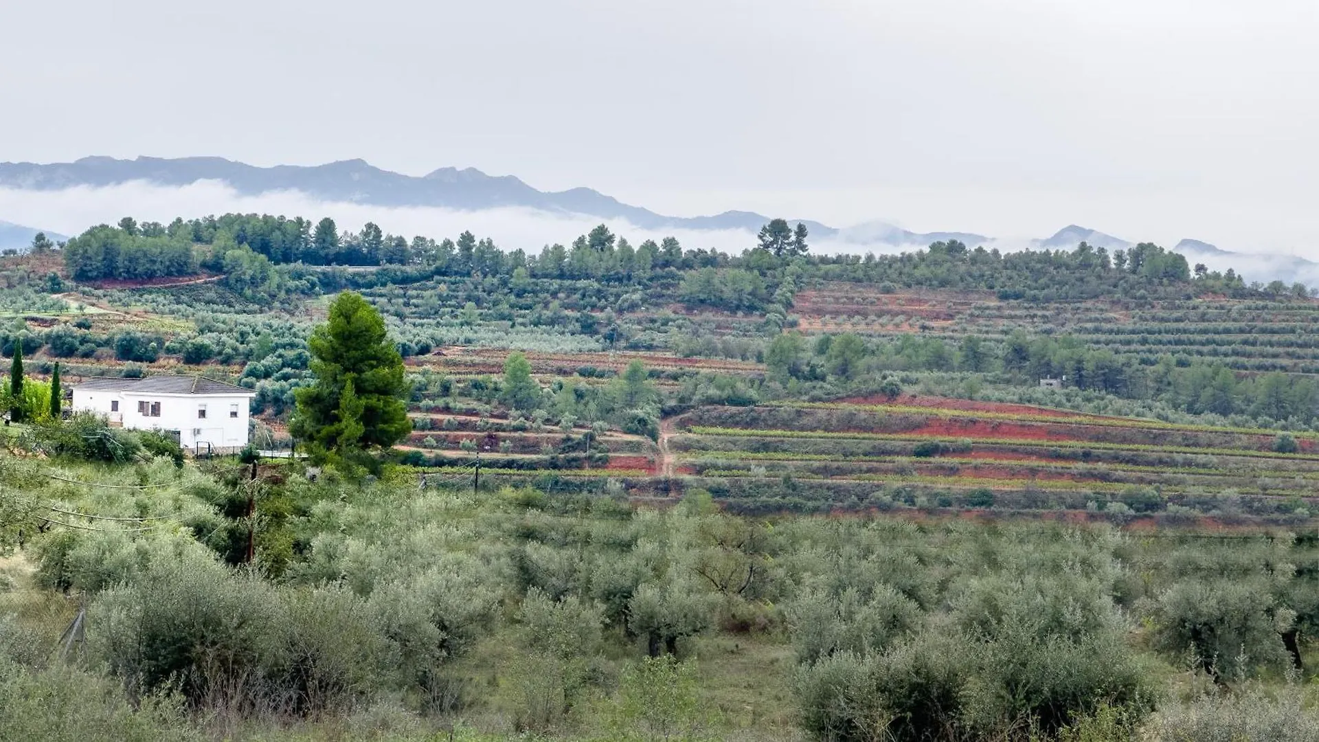 Holiday home Camins Del Priorat Villa El Masroig Spain