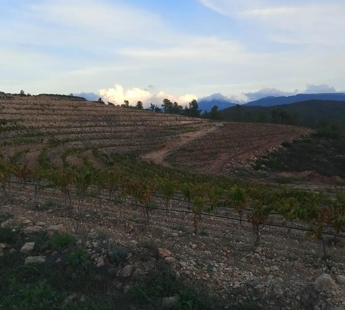 Holiday home Camins Del Priorat Villa El Masroig Spain